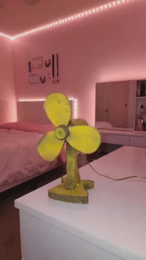 Vidéo